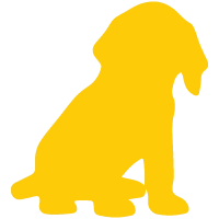 Animali ammessi piccola taglia